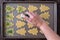 Womanâ€™s hand shaking out green sprinkles on raw Christmas Tree cookies on cookie sheet