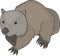 Wombat