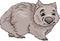 Wombat animal cartoon illustration