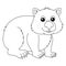 Wombat Animal Coloring Page Isolated for Kids