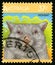 Wombat Australian Postage Stamp