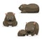 Wombat Cartoon Vector Illustration 2