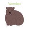 The wombat is sitting. Australian bird in a simple style. Flat vector illustration