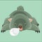 wombat sleeping. Vector illustration decorative design
