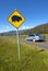 Wombats crossing sign and speeding car.