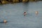 Women bathing in the sea.