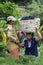 Women in a car full of grapes in Bali, Indonesia.