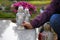 Women at the cemetery puts a candle on the grave