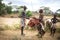 Women and children from the Hamer tribe are preparing for the Bull Jump ceremony.Ethiopia,Turmi village, Omo valley.