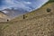 Women and children look for and gather from the slopes of the mountains near the village of Shimshal all kinds of dry burdock