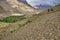 Women and children look for and gather from the slopes of the mountains near the village of Shimshal all kinds of dry burdock