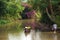 Women and children on rowboat with flower forTet in springtime