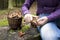 Women cleaning mushroom after Picking, Mushrooming