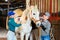 Women cleaning and taking care of white horse