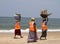 Women collect garbage on a beach. India Goa