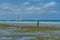 Women with colorful clothes fishing in shallow water. They are hunting small fishes