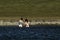 Women cooling off in lake