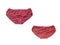 Women cotton panties flowered on white background. red underwear