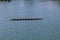 Women Crew Rowing Team Pulling On Oars In Lake