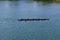 Women Crew Team Rowing On Lake In Folsom California