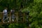 Women cross a stream in a park on a wooden bridge