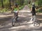 Women cycling in woods