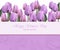 Women day card with purple tulip flowers. Vector realistic backgrounds