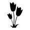 Women day tulip bunch flower pictogram
