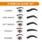 Women eyebrows shapes set