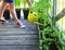 Women gardener watering plants. Container vegetables gardening. Vegetable garden on a terrace. Flower, tomatoes growing