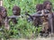 Women get ready for dancing at bull jumping ceremony. Turmi, Omo Valley, Ethiopia