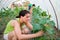 Women growing cucumbers, tying up cucumber branches in the hothouse.