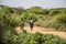 Women of the Hamer tribe walking