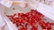 Women Hand in Bathrobe Drop Red Rose Petals on Bath Filled with Clear Water