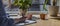 Women hand closeup writing with pen in notebook or planner, taking notes in cafe with coffee cup and plants on wood