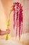 Women hand holding a bouquet of RED AMARANTHUS variety, studio shot, red flowers