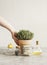 Women hand holding potted thyme in terra-cotta plant pot at grey kitchen table with olive oil, pepper, lemon on citrus press and