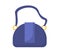 Women handbag vector concept