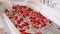 Women Hands in Bathrobe Prepare Red Rose Petals on Bath for Photosession