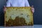  women hands in gloves taking wooden frame honeycomb, beekeeper.