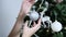 Women hands twirl a silver Christmas ball in their hands