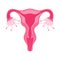 Women health Uterus Floral Ovary reproductive system Concept