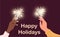 Women hold a burning sparkler in their hands. Christmas sparkler, New Year,celebration.