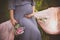 Women holds hands on her belly while being pregnant