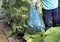 Women with homemade knife and gloves showing fresh picked cucumbers in plastic bag on sunny day.