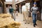 Women horse breeders working in ranch