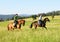 Women Horseback Riding in a Landscape