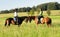 Women Horseback Riding in a Landscape