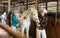 Women horsebreeders grooming white horse in stable