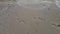 Women human footprints on a sandy beach